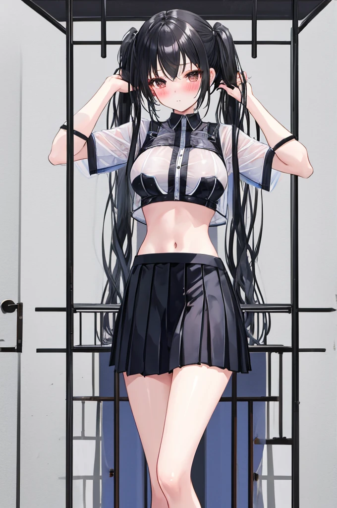 A girl，Imprisoned in an iron cage，twintails，Long hair，Black Hair，((transparent))，shirt，Towering breasts，Sexy Lingerie，Slim waist，Showing belly，Pleated Skirt，Smooth legs，blush，