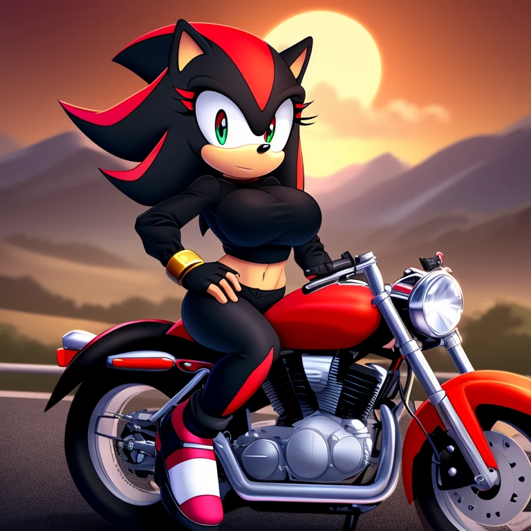 Mobian, female, (hedgehog similar to Shadow the Hedgehog but female), feminine eyelashes, large breasts, black fur, hair bangs, perfect feminine figure, seated on a motorcycle,black motorcycle, (detailed background), anime style, highway with mountains backgroud sharp focus, serious, furry female, (solo), hair over one eye,
black crop top with boob window, long black sleeves, fingerless red gloves with black cuffs, black tights, red waistband, white heeled sonic soap shoes,one hand on hip