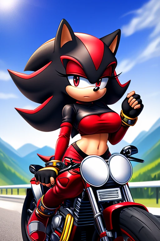 Mobian, female, (hedgehog similar to Shadow the Hedgehog but female), feminine eyelashes,red pupils, large breasts, black fur,two hair bangs, perfect feminine figure, seated on a motorcycle,black motorcycle, (detailed background), anime style, highway with mountains backgroud sharp focus, serious, furry female, (solo), hair over one eye,
black crop top with boob window, long red sleeves, fingerless red gloves with red cuffs, white tights, red waistband, white heeled sonic soap shoes,one hand on hip