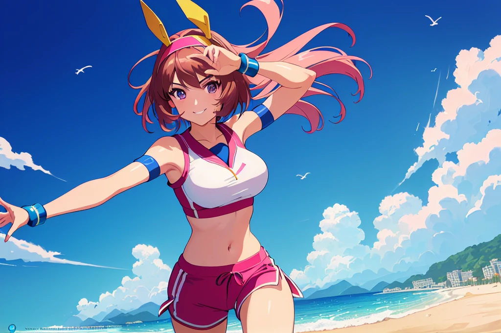(perfect composition),imagined a girl in extreme sport outfit playing to a flying disc game in a beach arena game sport, masterpiece, ultra-detailed, 80's anime (style), 2D, megapixel, perfectionism, full HD , 4K, (windjammers), windjammers sport game, windjammers 2 (((((solo mature anime woman,)))))++++++++++++++++++, looking at viewer, full body, brown hair and pink hair, short hair, weird hair, smile, lips, eyelashes, medium breasts, gym uniform, uniform, gym shorts, headband, sports bra, elbow pad, knee pad, extreme sports outfit 80's theme, beach background, playing flying disc game on a beach court game, sea, sun in the sky, sports wear