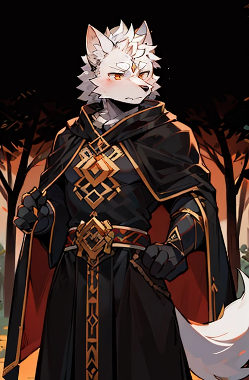 Exquisite lines,The best art style,White Wolf Orcs,Jinyiwei dress,Black robe,Black cape,Black clothes,pupil,Elbow pads,Right hand on the sword at the waist,Expression alert ,Standing among the trees,male,Chinese style
