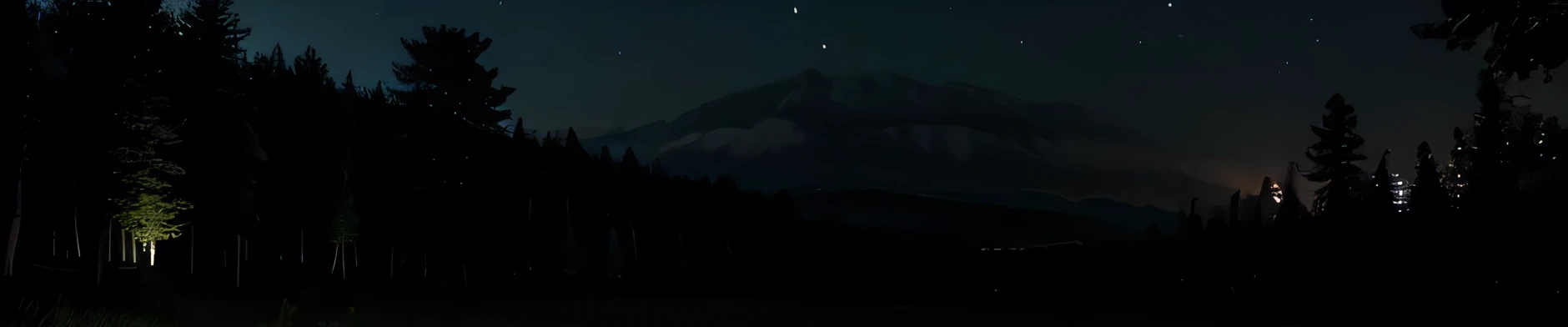 Night forest with few trees