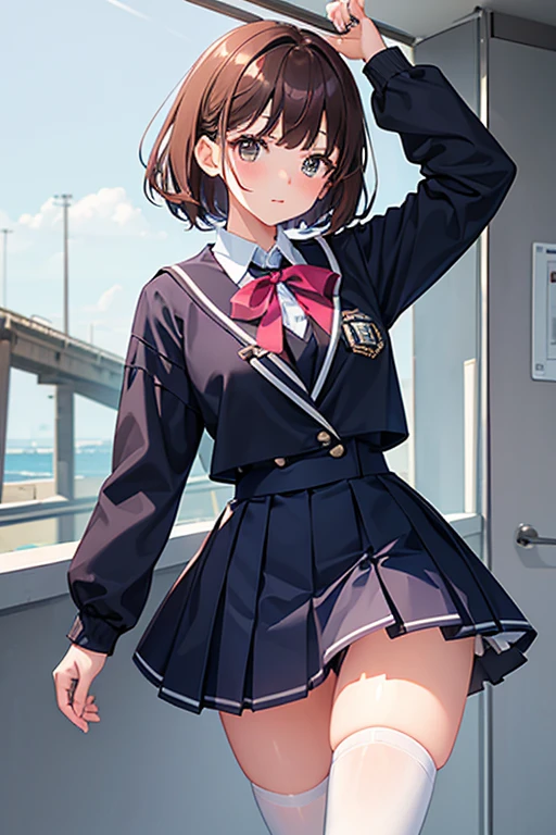 (A Girl), Navy-blue high-school uniform with white-collar, White-Skirt, Reddish-brown-short-hair, Two-sided-up with big pink ribbon, Brown-eyes, zettai-ryouiki