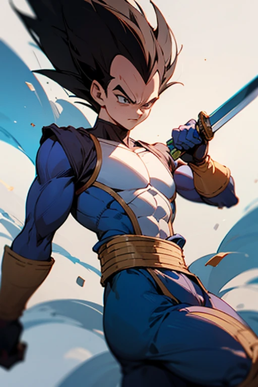 Vegeta swordsman in imagination XL