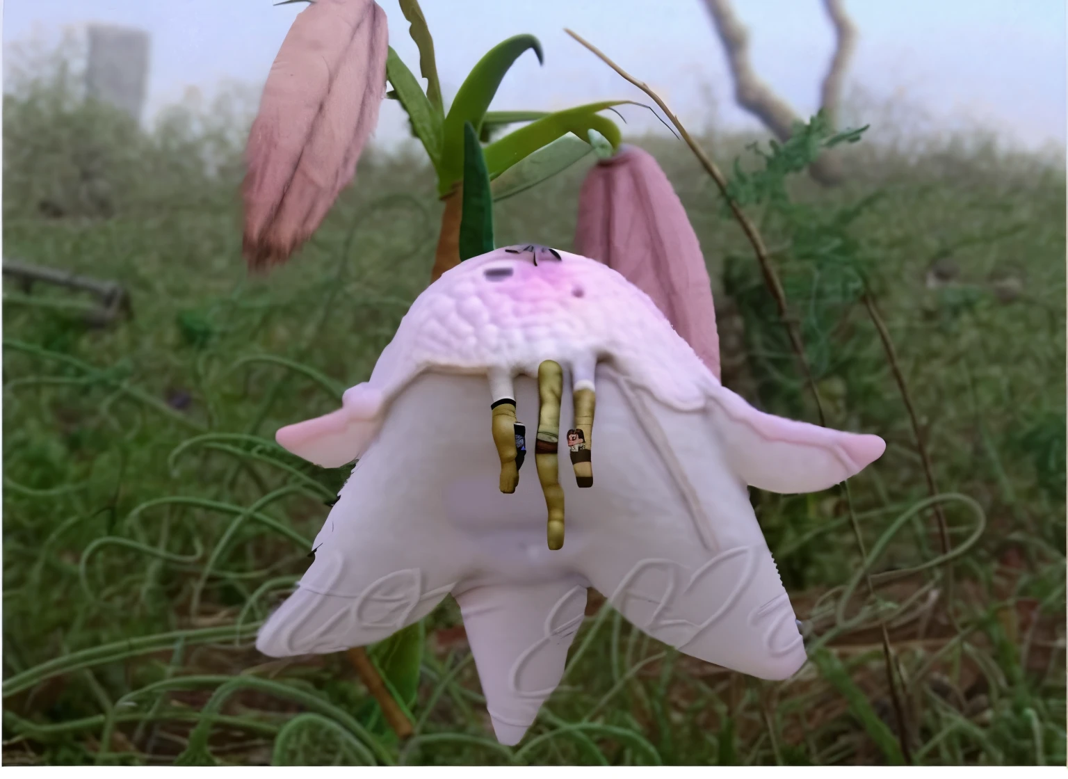 a close up of a pink flower with rain drops on it, hymenocallis coronaria, big lilies, stella alpina flower, light pink mist, lily flower, very high bloom ammount, staggering in its beauty, summer morning dew, dew, garis edelweiss, rubrum lillies, lily flowers, lily, lilies, watermark:-1
