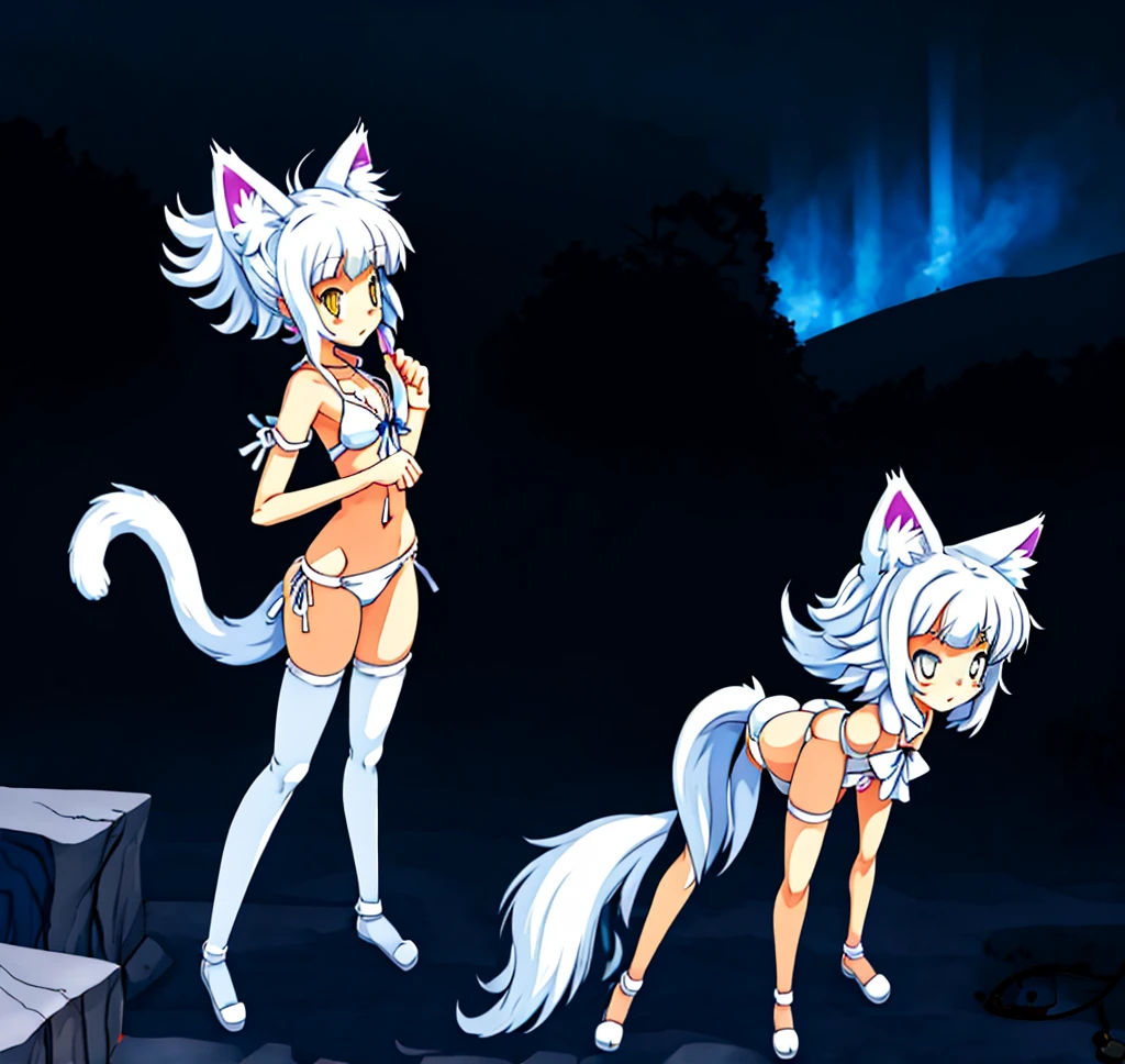 anime girl with cat ears and tail in a white bikini, neferpitou, holo is a wolf girl, anime catgirl, white cat girl, cute anime catgirl, seductive anime girl, beautiful anime catgirl, white - haired fox, holo if a wolf girl, wolf ears, attractive cat girl, nyaruko-san, anime moe artstyle