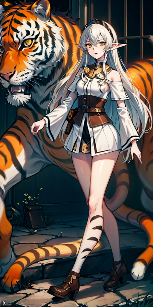 Bianca has fair tan skin, and wavy white hair. She has big blue eyes and red lips, Her accessories consist of a fluffy tiger hat, She also wears gold eyeshadows.
Her outfit consists of a orange sweater with tiger stripes, It also has a red print that says "STRIPES" and black ribbons in the sleeves. She also wears red fishnets and orange boots with black tiger stripes, It has gold zippers and black and red soles. SPARKLE; GLITTER