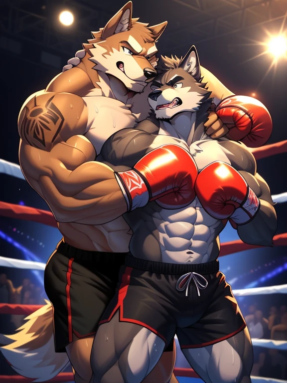 Duo big male fighters(Brown Wolf vs Marrow Wolf, handsomes, Thick eyebrows), beso gay(cuddling embraced body with body, from behind, in a boxing match), hot(Full body, shirtless), handsomes(They are handsomes, correct anatomy), musculosos(Big muscle bodies, Six packs, muscle abs, big pecs, muscle legs, muscle backs), sweaty(very sweaty wet bodies), tatuajes(they have tattoos), Angry(They have an angry expression), boxing gloves(They both are wearing reds boxing gloves), shorts(They both are wearing black shorts), Hight resolution
