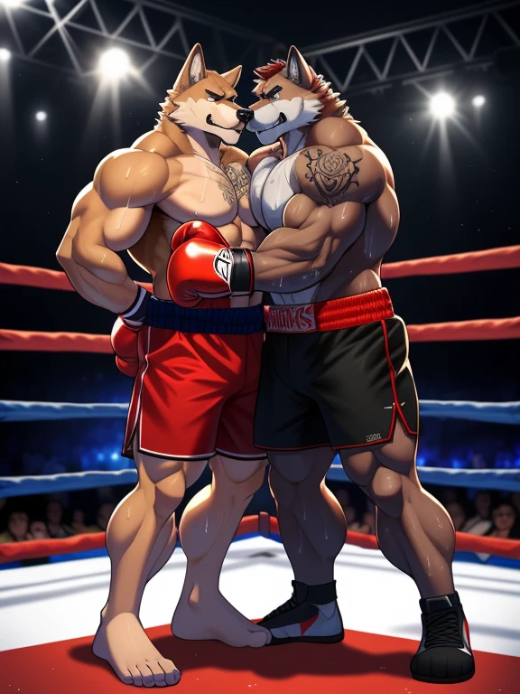 Duo big male fighters(Brown Wolf vs Marrow Wolf, handsomes, Thick eyebrows), beso gay(cuddling embraced body with body, in a boxing match), hot(Full body, shirtless), handsomes(They are handsomes, correct ???????), musculosos(Big muscle bodies, Six packs, muscle abs, big pecs, muscle legs, muscle backs), sweaty(very sweaty wet bodies), tatuajes(they have tattoos), Angry(They have an angry expression), boxing gloves(They both are wearing reds boxing gloves), shorts(They both are wearing black shorts), Hight resolution