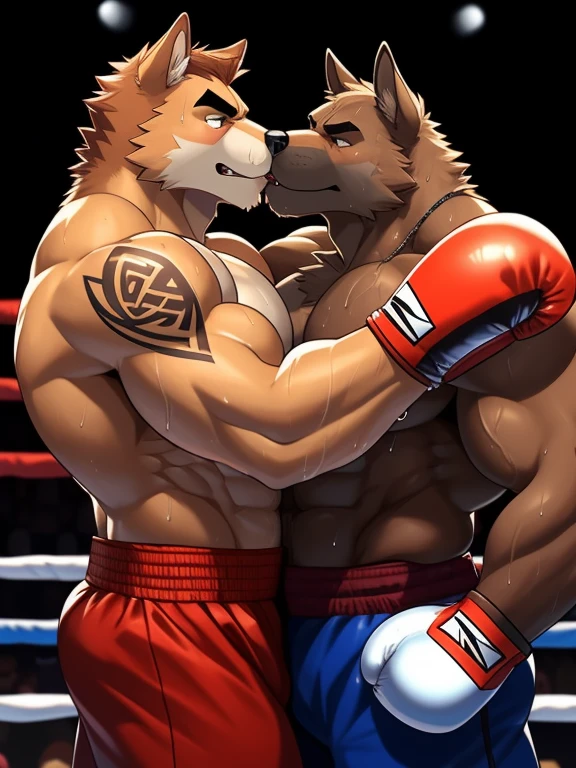 Duo big male fighters(Brown Dog vs Marrow Dog, handsomes, Thick eyebrows), beso gay(cuddling embraced around the necks, kissing each other, after of a boxing match), hot(shirtless), handsomes(They are handsomes, correct anatomy), musculosos(Big muscle bodies, Six packs, muscle abs, big pecs, muscle backs), sweaty(very sweaty wet bodies), tatuajes(they have tattoos), Angry(They have an angry expression), boxing gloves(They both are wearing reds boxing gloves), Hight resolution