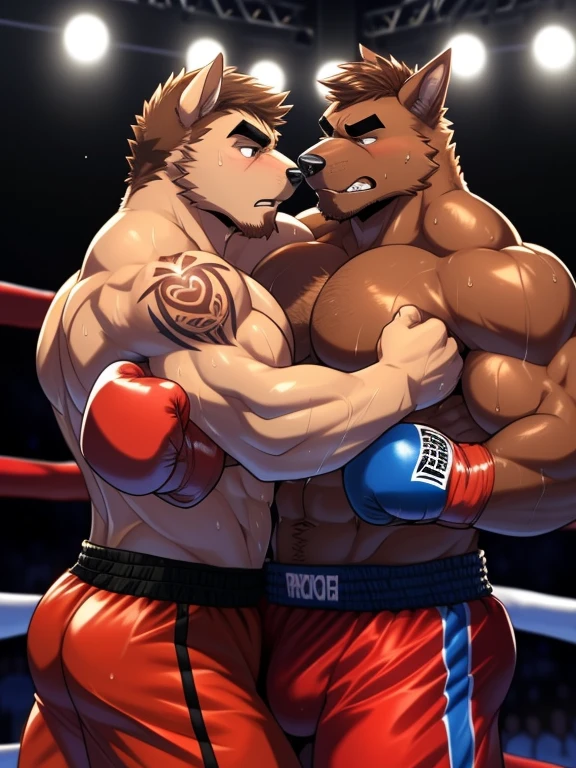 Duo big male fighters(Brown Dog vs Brown Dog, handsomes, Thick eyebrows), beso gay(cuddling embraced, bulges frottage, in a boxing match), hot(shirtless), handsomes(They are handsomes, correct anatomy), musculosos(Big muscle bodies, Six packs, muscle abs, big pecs, muscle backs), sweaty(very sweaty wet bodies), tatuajes(they have tattoos), Angry(They have an angry expression), boxing gloves(They both are wearing reds boxing gloves), Hight resolution