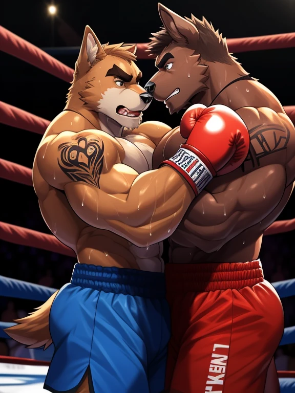 Duo big male fighters(Brown Dog vs Brown Dog, handsomes, Thick eyebrows), beso gay(Embraced around the necks, in a boxing match), hot(shirtless), handsomes(They are handsomes, correct anatomy), musculosos(Big muscle bodies, Six packs, muscle abs, big pecs, muscle backs), sweaty(very sweaty wet bodies), tatuajes(they have tattoos), Angry(They have an angry expression), boxing gloves(They both are wearing reds boxing gloves), Hight resolution