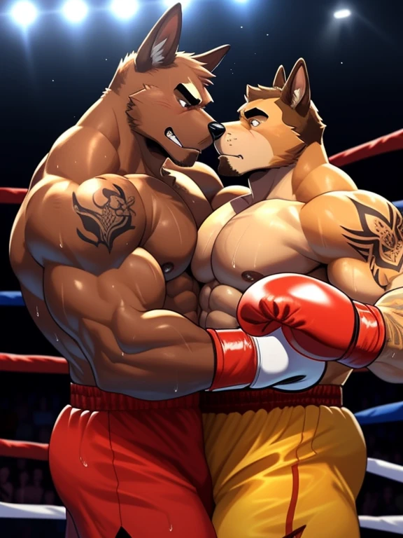 Duo big male fighters(Brown Dog vs Brown Dog, handsomes, Thick eyebrows), beso gay(Embraced each other around their backs, in a boxing match), hot(shirtless), handsomes(They are handsomes, correct anatomy), musculosos(Big muscle bodies, Six packs, muscle abs, big pecs, muscle backs), sweaty(very sweaty wet bodies), tatuajes(they have tattoos), Angry(They have an angry expression), boxing gloves(They both are wearing reds boxing gloves), Hight resolution