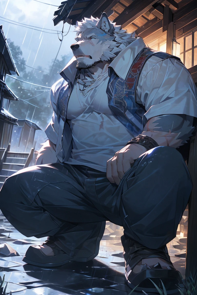 (masterpiece),(Very detailed),(best quality),hairy,Wolf,White fur,white hair,Light blue pupils,(Ragged clothes,Broken sword),Wooden house,Injuried,It's full of scars,Wound,(Exhausted),night,Rainy Day,rainstorm(Get down on one knee),8k,(high quality),(Ultra HD),(Ultra Detailed