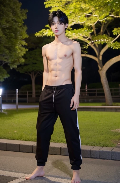 One Boy、Beautiful boy、Handsome、18-year-old、Japan boys、Black Hair、Night Park、Upper body naked、Groin bulge、Take off your clothes、Show bare skin、Spread your legs,White underwear、barefoot、Standing posture、