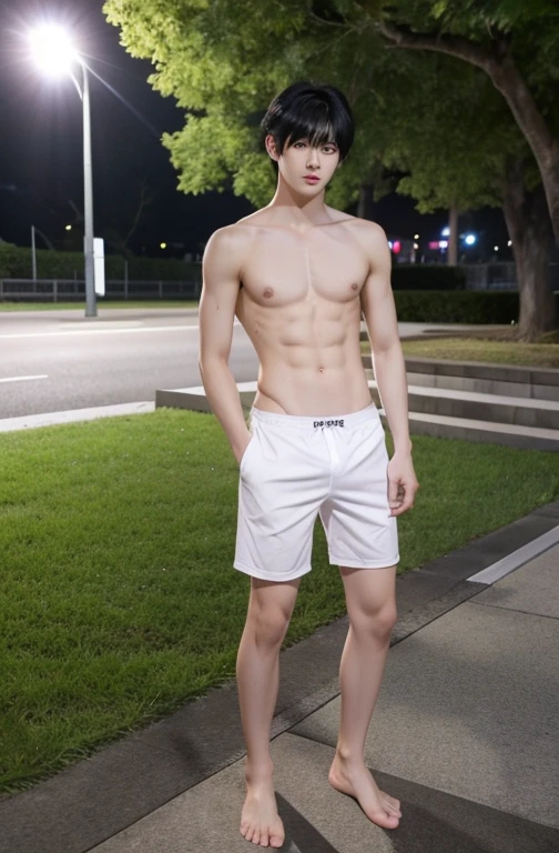 One Boy、Beautiful boy、Handsome、18-year-old、Japan boys、Black Hair、Night Park、Upper body naked、Groin bulge、Take off your clothes、Show bare skin、Spread your legs,White underwear、barefoot、Standing posture、