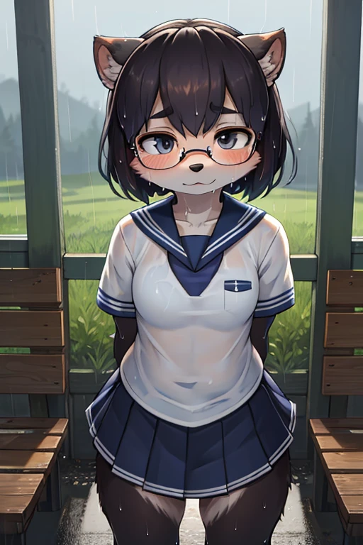 focus face , hairy racoon dog Short stature girl wearing black sports bra , (Short stature) , realistic hairy fur , round face , (tilt face:1.2) , Dull geek , (half-open eyes) , Swollen cheeks , glossy lips , flat chest , (look away:1.2) , eyewear, (neat white sailor uniform:1.1) , (see through black sports bra under uniform:0.95) , navy skirt , heavy rain , Rural bus stop , Rural Scenery , Take shelter from the rain , (Wet uniform:1.2)