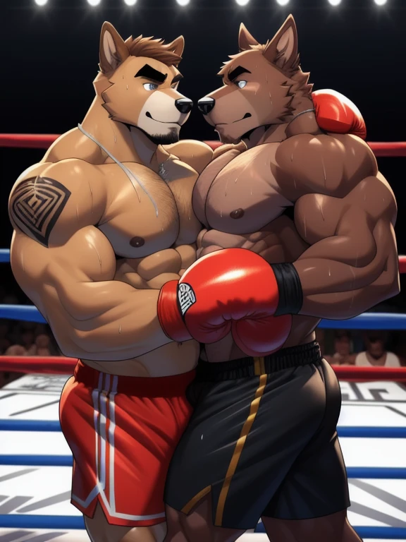 Duo male fighters(Brown Dog vs Brown Dog, handsomes, perfect eyes, Thick eyebrows), beso gay(They are hugging around his necks after of finish a boxing match), hot(Full body, Shirtless), handsomes(They are handsomes, correct anatomy), musculosos(Big muscle bodies, Six packs, muscle abs, big pecs, muscle legs, muscle backs), sweaty(very sweaty wet bodies), tatuajes(they have tattoos), Exhausted(They have an exhausted expression), Boxing gloves(They both are wearing boxing gloves), Shorts(They are wearing black shorts), Hight resolution