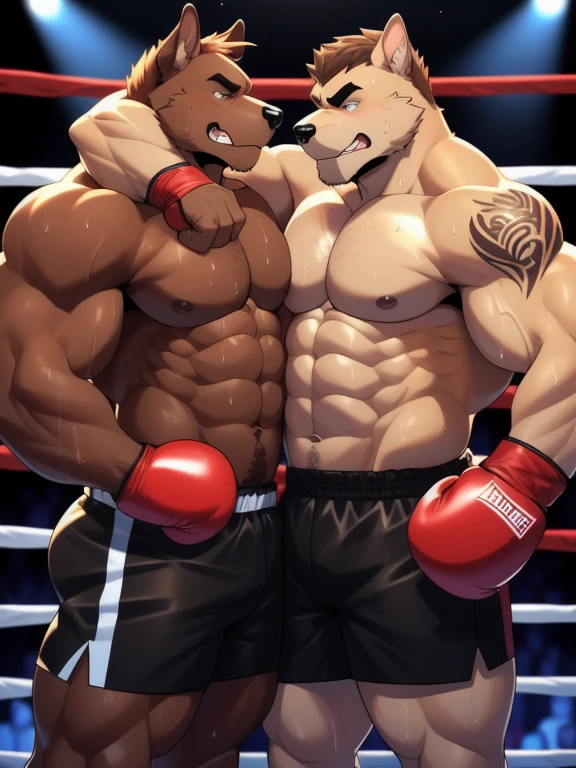 Duo male fighters(Brown Dog vs Brown Dog, handsomes, perfect eyes, Thick eyebrows), beso gay(They are hugging around his necks after of finish a boxing match, side to side), hot(Full body, Shirtless), handsomes(They are handsomes, correct anatomy), musculosos(Big muscle bodies, Six packs, muscle abs, big pecs, muscle legs, muscle backs), sweaty(very sweaty wet bodies, shiny sweat), tatuajes(they have tattoos), Angry(They have an sexy angry expression), Boxing gloves(They both are wearing boxing gloves), Shorts(They are wearing black boxing shorts), Hight resolution 