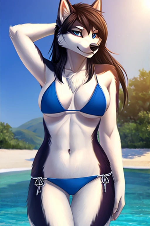 Siberian husky bikini