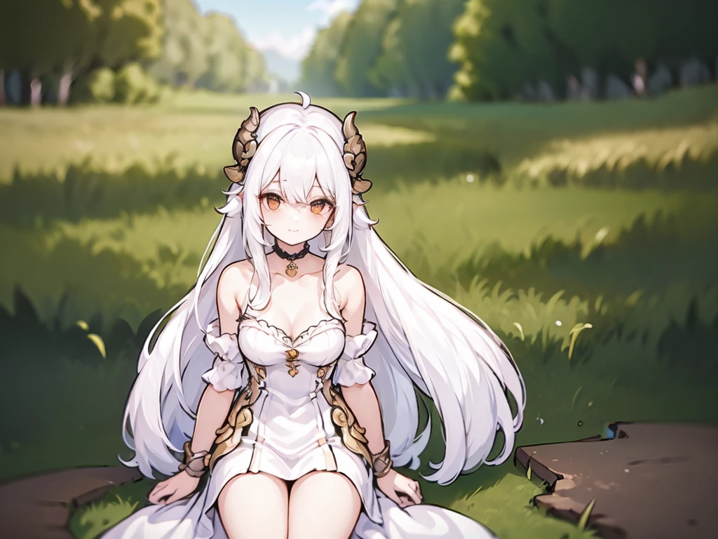 ((masterpiece)), ((bestquality)), (ultra-detailed), 1 girl, white hair, red eyes, w-sitting, detailed face, smile, dragonian_head, dragonian_body, dragonian_hairstyle, dragonian_horns, dragonian_tail, white tail, white long dress, black choker, silver circlet, hammer beside character, grassland, clear line, in the middle of picture, nature background