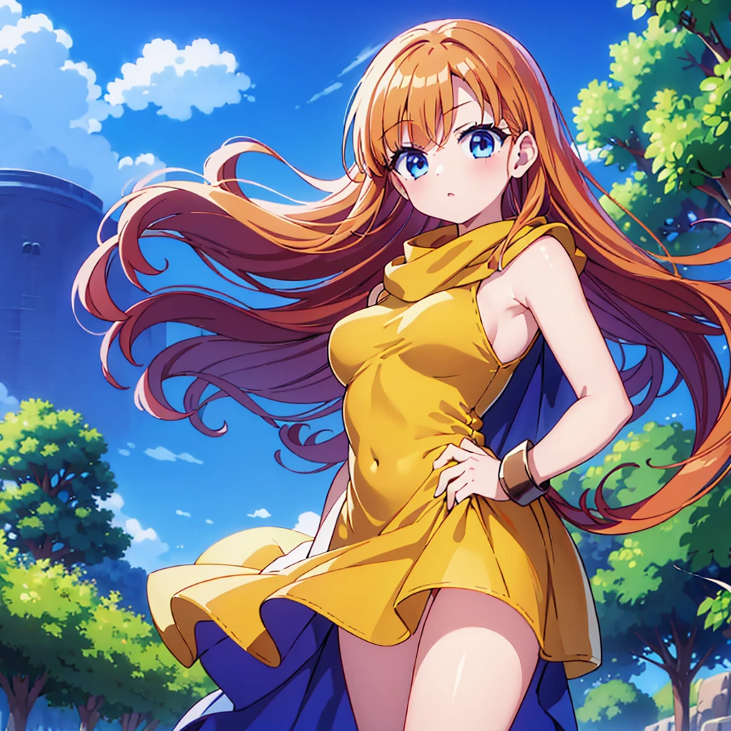 1 girl、(High resolution)、(masterpiece)、(Detailed Expression)、(Arena - DQ4、DQ4-Arena、Orange straight hair)、low length、thin太もも、thin脚、Small shoulders、thin、Muscular、(Have、Open Dress、Cape、Big slit、No underwear、Underarm、Flanks are visible、Side bust)、Night Grassland