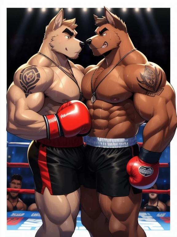 Duo male fighters(Brown Dog vs Brown Dog, handsomes, perfect eyes, Thick eyebrows), beso gay(They are cuddling each other around their necks after of finish a boxing match), hot(Full body, Shirtless), handsomes(They are handsomes, correct anatomy), musculosos(Big muscle bodies, Six packs, muscle abs, big pecs, muscle legs, muscle backs), sweaty(very sweaty wet bodies, shiny sweat), tatuajes(they have tattoos), Angry(They have an angry expression), Boxing gloves(They both are wearing boxing gloves), Shorts(They are wearing black boxing shorts), Hight resolution