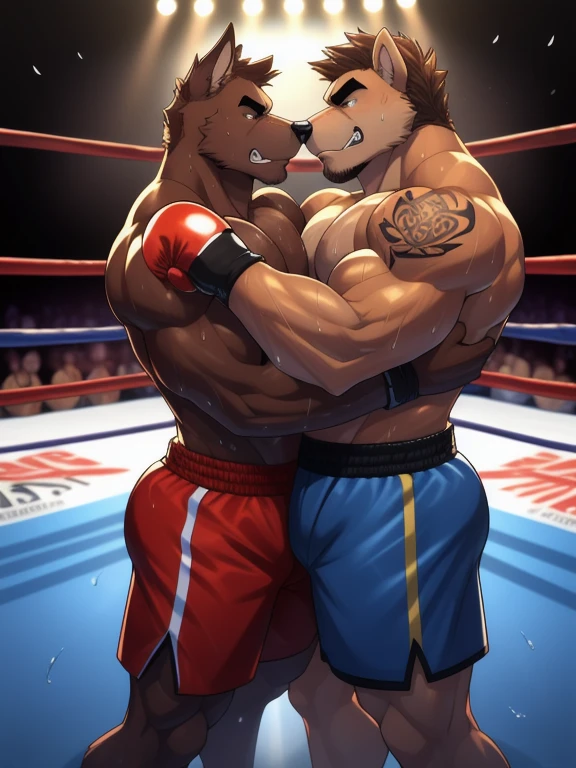 Duo male fighters(Brown Dog vs Brown Dog, handsomes, perfect eyes, Thick eyebrows), beso gay(They are cuddling each other, in a boxing match), hot(Shirtless), handsomes(They are handsomes, correct anatomy), musculosos(Big muscle bodies, Six packs, muscle abs, big pecs, muscle legs, muscle backs), sweaty(very sweaty wet bodies, shiny sweat), tatuajes(they have tattoos), Angry(They have an angry expression), Boxing gloves(They both are wearing boxing gloves), Shorts(They are wearing black boxing shorts), Hight resolution