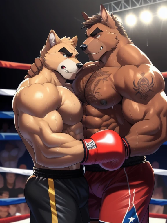 Duo male fighters(Brown Dog vs Brown Dog, handsomes, perfect eyes, Thick eyebrows), beso gay(They are embraced, side to side, strugling, in a boxing match), hot(Shirtless), handsomes(They are handsomes, correct anatomy), musculosos(Big muscle bodies, Six packs, muscle abs, big pecs, muscle legs, muscle backs), sweaty(very sweaty wet bodies, shiny sweat), tatuajes(they have tattoos), Angry(They have an angry expression), Boxing gloves(They both are wearing boxing gloves), Shorts(They are wearing black boxing shorts), Hight resolution