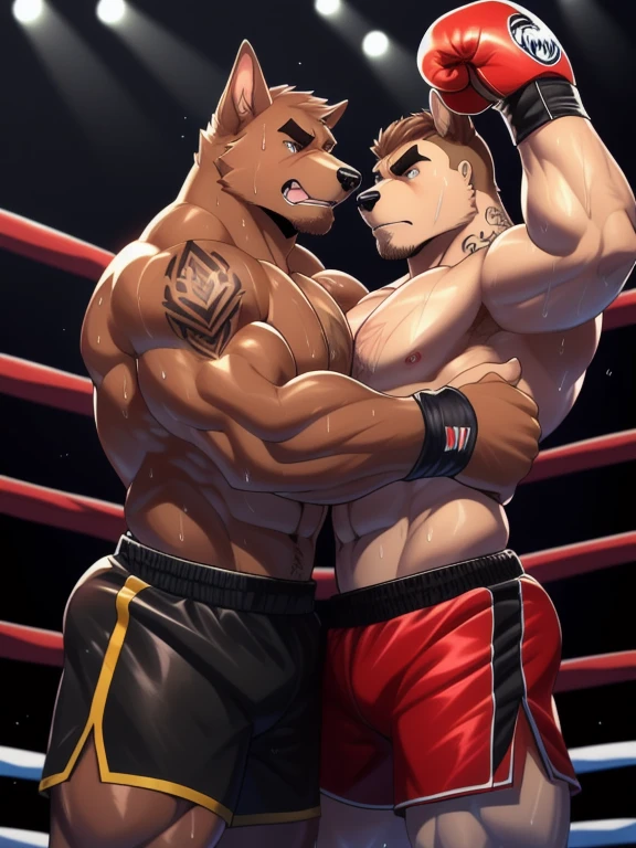 Duo male fighters(Brown Dog vs Brown Dog, handsomes, perfect eyes, Thick eyebrows), beso gay(They both are embraced with an arm, side to side, in a boxing match), hot(Shirtless), handsomes(They are handsomes, correct anatomy), musculosos(Big muscle bodies, Six packs, muscle abs, big pecs, muscle legs, muscle backs), sweaty(very sweaty wet bodies, shiny sweat), tatuajes(they have tattoos), Angry(They have an angry expression), Boxing gloves(They both are wearing boxing gloves), Shorts(They are wearing black boxing shorts), Hight resolution