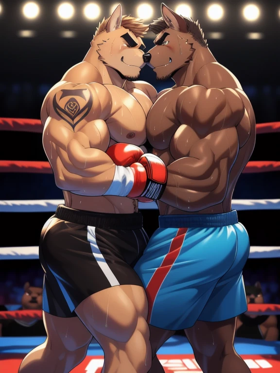 Duo male fighters(Brown Dog vs Brown Dog, handsomes, perfect eyes, Thick eyebrows), beso gay(Cuddling embraced with an arm, side to side, in a boxing match), hot(Shirtless), handsomes(They are handsomes, correct anatomy), musculosos(Big muscle bodies, Six packs, muscle abs, big pecs, muscle legs, muscle backs), sweaty(very sweaty wet bodies, shiny sweat), tatuajes(they have tattoos), Angry(They have an angry expression), Boxing gloves(They both are wearing boxing gloves), Shorts(They are wearing black boxing shorts), Hight resolution