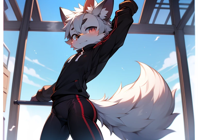 Libido boy，furry wolf，((Shota)), spandex yoga pants, standing, solo