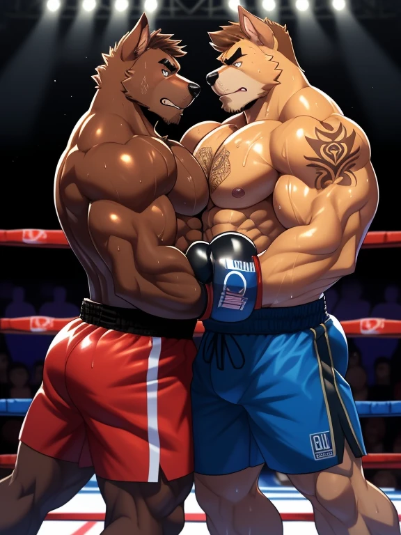 Duo male fighters(Brown Dog vs Brown Dog, handsomes, perfect eyes, Thick eyebrows), Staring(They are embraced from the necks, body frottage, in a boxing match), hot(Shirtless), handsomes(They are handsomes, correct anatomy), musculosos(Big muscle bodies, Six packs, muscle abs, big pecs, muscle legs, muscle backs), sweaty(very sweaty wet bodies, shiny sweat), tatuajes(they have tattoos), Angry(They have an angry expression), Boxing gloves(They both are wearing boxing gloves), Shorts(They are wearing black boxing shorts), Hight resolution