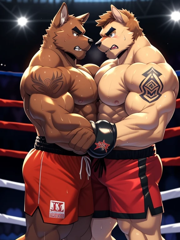 Duo male fighters(Brown Dog vs Brown Dog, handsomes, perfect eyes, Thick eyebrows), Staring(They are embraced from the necks, body frottage, in a boxing match), hot(Shirtless), handsomes(They are handsomes, correct anatomy), musculosos(Big muscle bodies, Six packs, muscle abs, big pecs, muscle legs, muscle backs), sweaty(very sweaty wet bodies, shiny sweat), tatuajes(they have tattoos), Angry(They have an angry expression), Boxing gloves(They both are wearing boxing gloves), Shorts(They are wearing black boxing shorts), Hight resolution