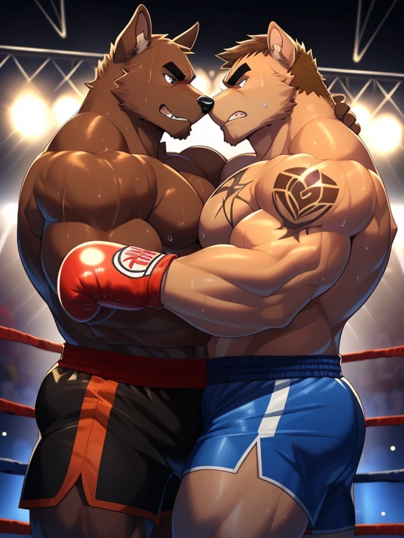 Duo male fighters(Brown Dog vs Brown Dog, handsomes, perfect eyes, Thick eyebrows), Staring(They are cuddling embraced from the necks, body frottage, in a boxing match), hot(Shirtless), handsomes(They are handsomes, correct anatomy), musculosos(Big muscle bodies, Six packs, muscle abs, big pecs, muscle legs, muscle backs), sweaty(very sweaty wet bodies, shiny sweat), tatuajes(they have tattoos), Angry(They have an angry expression), Boxing gloves(They both are wearing boxing gloves), Shorts(They are wearing black boxing shorts), Hight resolution