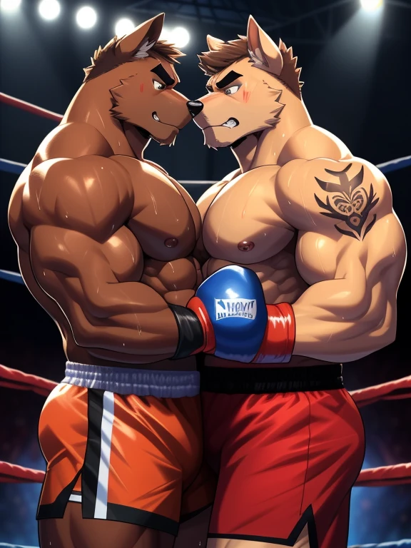 Duo male fighters(Brown Dog vs Brown Dog, handsomes, perfect eyes, Thick eyebrows), Staring(They are cuddling embraced from the necks, body frottage, in a boxing match), hot(Shirtless), handsomes(They are handsomes, correct anatomy), musculosos(Big muscle bodies, Six packs, muscle abs, big pecs, muscle legs, muscle backs), sweaty(very sweaty wet bodies, shiny sweat), tatuajes(they have tattoos), Angry(They have an angry expression), Boxing gloves(They both are wearing boxing gloves), Shorts(They are wearing black boxing shorts), Hight resolution