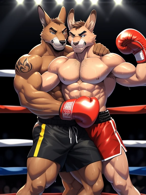 Duo male fighters(Brown Kangaroo vs Brown Kangaroo, handsomes, perfect eyes, Thick eyebrows), Staring(They are cuddling embraced around their necks, flexing abs, body frottage, in a boxing match), hot(Shirtless), handsomes(They are handsomes, correct anatomy), musculosos(Big muscle bodies, Six packs, muscle abs, big pecs, muscle legs, muscle backs), sweaty(very sweaty wet bodies, shiny sweat), tatuajes(they have tattoos), Angry(They have an angry expression), Boxing gloves(They both are wearing boxing gloves), Shorts(They are wearing black boxing shorts), Hight resolution