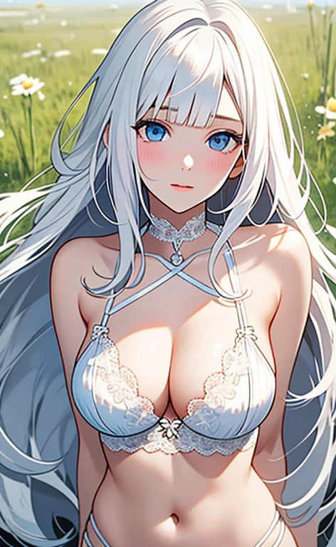 (masterpiece:1.4、top-quality、illustration:,realistic、)、(character focus、,upper body1.3)、(1girl),(clear face:1.3),(),cute face,blue eyes、(tareme:1.3)、(white skin:1.2),
(),(stand:1.4)、(),、
(white hair),(long hair:1.5)、
,(meadow:1.3),(white lace bra,white lace panties:1.5),
(blunt bangs),(sidelocks:1.3), (huge breasts)、
、slender、