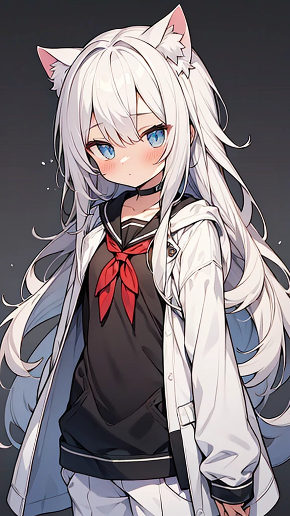 school anime style,ultra pretty,hyper cute  boy,
,silver long hair,cat ears,,