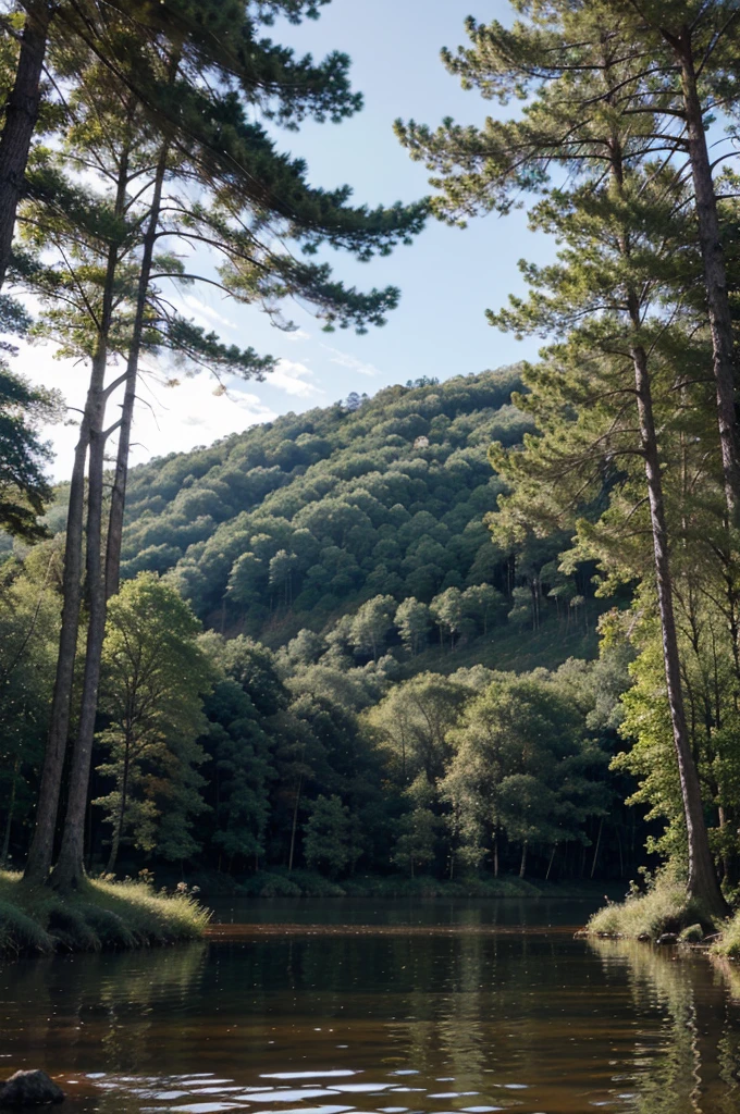Lake in the middle of the forest trees around