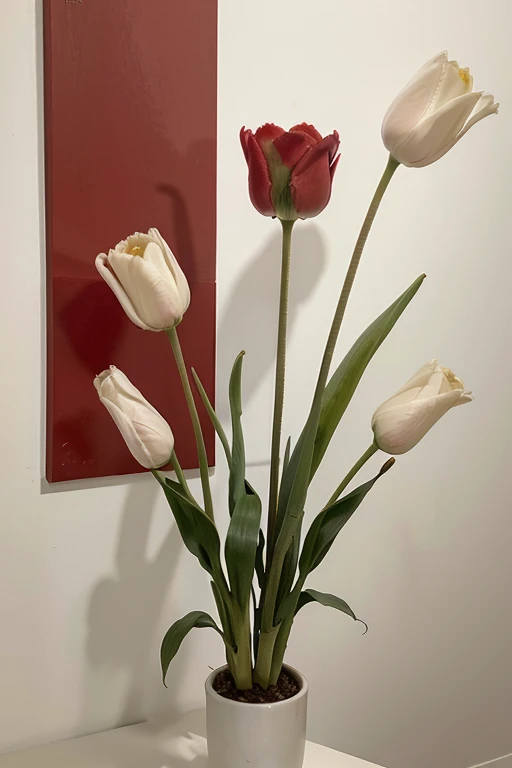 una pintura de tulipanes, color blanco rojo y rosa