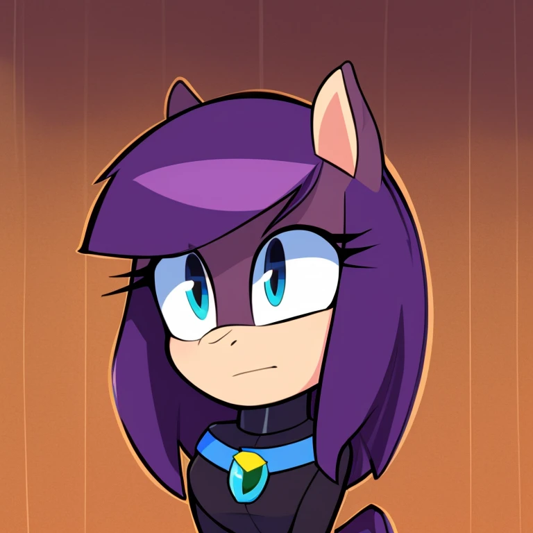 pony, score_9, rating_safe, raven from teen titans, portrait, solo, purple hair