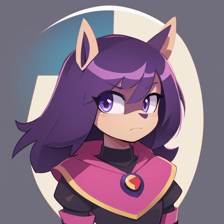 pony, score_9, rating_safe, raven from teen titans, portrait, solo, purple hair