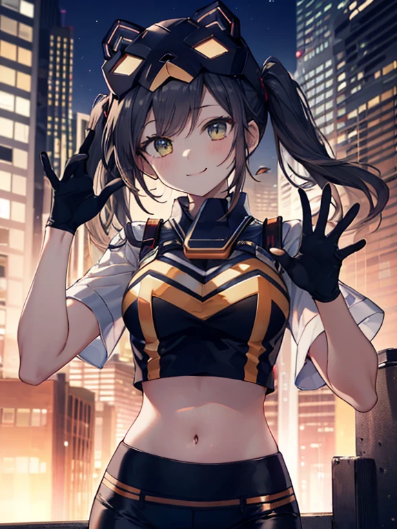 One Girl, (Chiquita:1.2), IP1, One Girl, (Cat mask, Crop top, Tight pants, Twin tails, Short sleeve, gloves), 
(Close-up shot, highest quality, High resolution, 4K, Detailed lighting, Shaders, Browsing Caution), 

smile,
Dynamic pose, 
Skyscraper, night, 
View your viewers,