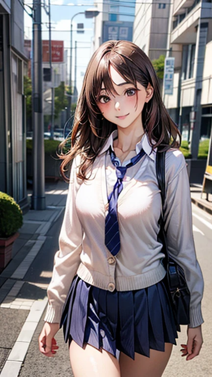 (masterpiece:1.2, top-quality), (realistic, photorealistic:1.4), beautiful illustration, (natural side lighting, movie lighting), 
looking at viewer, cowboy shot, front view:0.6, 1 girl, japanese, high school girl, perfect face, cute and symmetrical face, shiny skin, 
(long hair:1.4, half updo:1.5, light brown hair), hair between eye, dark brown eyes, long eye lasher, (large breasts:0.6, seductive thighs), 
beautiful hair, beautiful face, beautiful detailed eyes, beautiful clavicle, beautiful body, beautiful chest, beautiful thigh, beautiful legs, beautiful fingers, 
((long sleeve white collared shirts, navy pleated miniskirt, navy tie, white cardigan)), pink panties, school bag, 
(beautiful scenery), evening, riverside, walking, (lovely smile, upper eyes), 