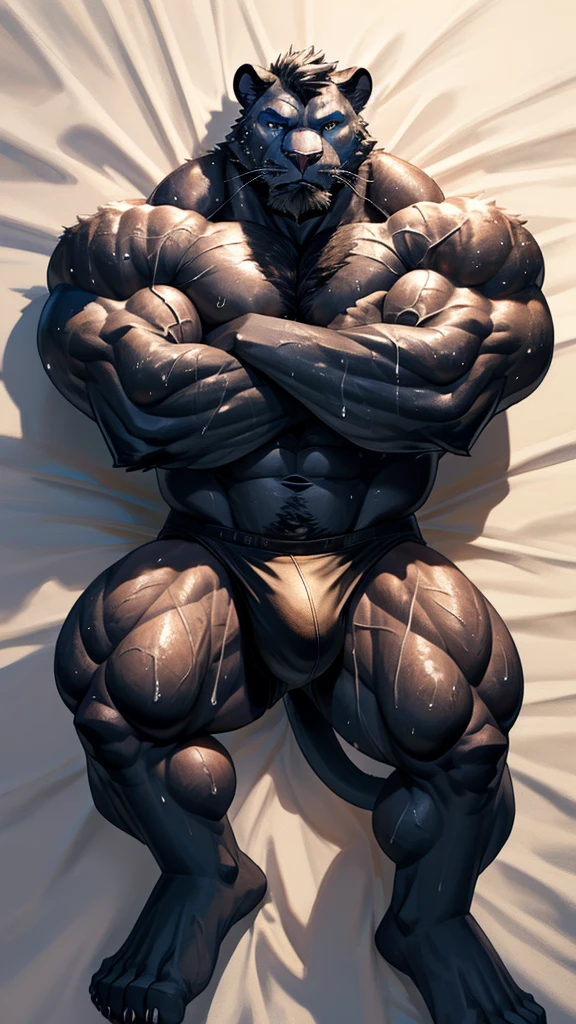 furry anthro male, from head to feets, lying on hotel black sheet bed, oiled sweat stain, hairy, fine bulge, white panther animal face and human body, steroids used bodybuilder, ultimate bulk, muscular men, male art, gigachad muscles, muscular men, male art, Muscular men, Commission for high resolution, muscular!!,sweat ,muscular man ,bodybuilder, slight laugh,veiny muscles, Muscular ,shaggy lumpy body, extreme muscle mass, Close up of lump body,ultra-detailliert,High quality,Photorealistic,Light and shadow