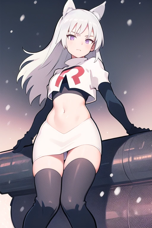 masterpiece, best quality, 1girl, aurora e. juutilainen, dog tail, animal ears, purple eyes, silver hair, outside, snow, team rocket,team rocket uniform,white skirt,red letter R,crop top,black thigh-highs,black elbow gloves