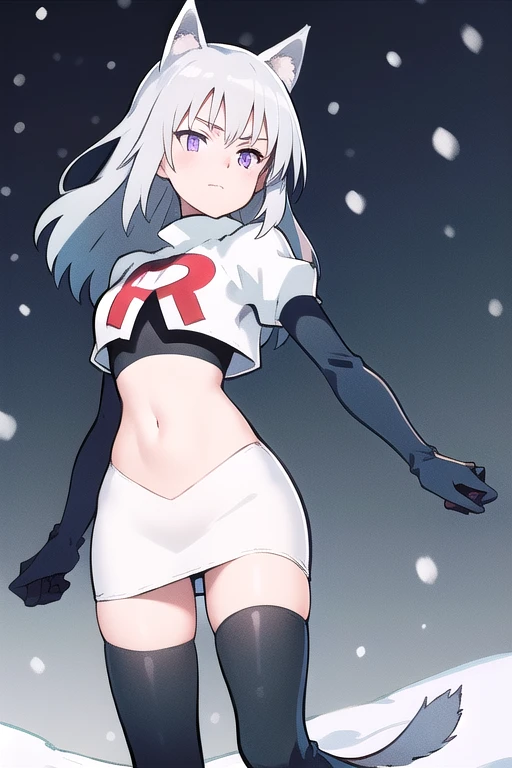 masterpiece, best quality, 1girl, aurora e. juutilainen, dog tail, animal ears, purple eyes, silver hair, outside, snow, team rocket,team rocket uniform,white skirt,red letter R,crop top,black thigh-highs,black elbow gloves