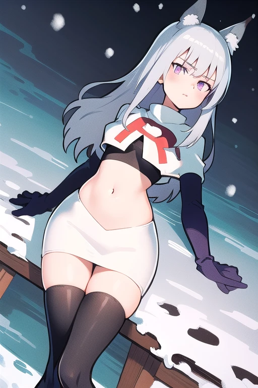 masterpiece, best quality, 1girl, aurora e. juutilainen, dog tail, animal ears, purple eyes, silver hair, outside, snow, team rocket,team rocket uniform,white skirt,red letter R,crop top,black thigh-highs,black elbow gloves