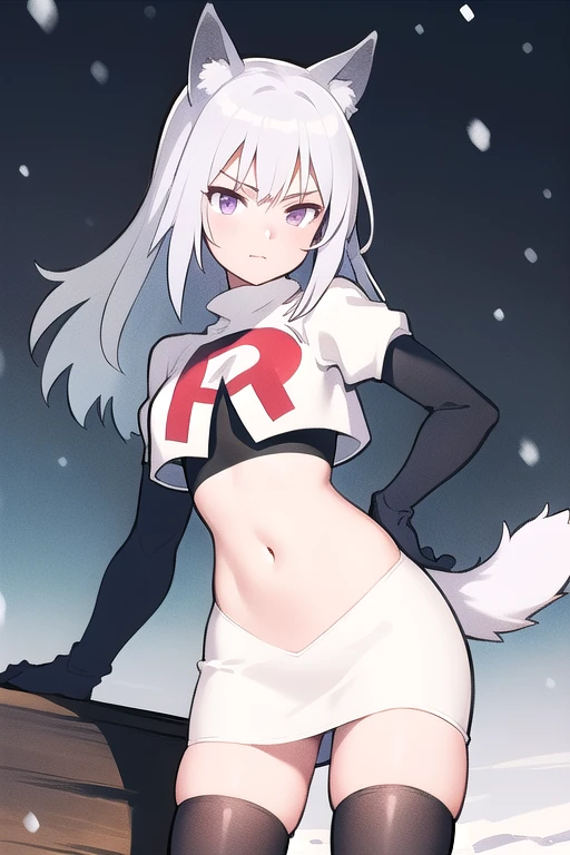 masterpiece, best quality, 1girl, aurora e. juutilainen, dog tail, animal ears, purple eyes, silver hair, outside, snow, team rocket,team rocket uniform,white skirt,red letter R,crop top,black thigh-highs,black elbow gloves